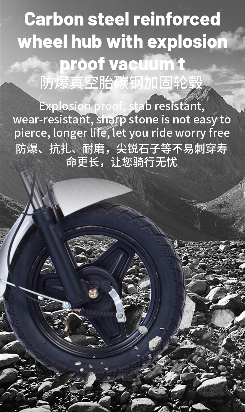 2 Wheel Powerful Electric Bike for Adults with Seat Pedal Scooter E-Bike
