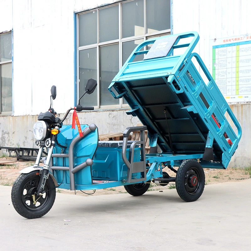 800W/1000W/1200W/1500W Electric Trike, Vehicle, Bicycle, Bike, Motorbike, Rickshaw, Three Wheel Motorcycle, Electric Cargo Tricycle with Different Size