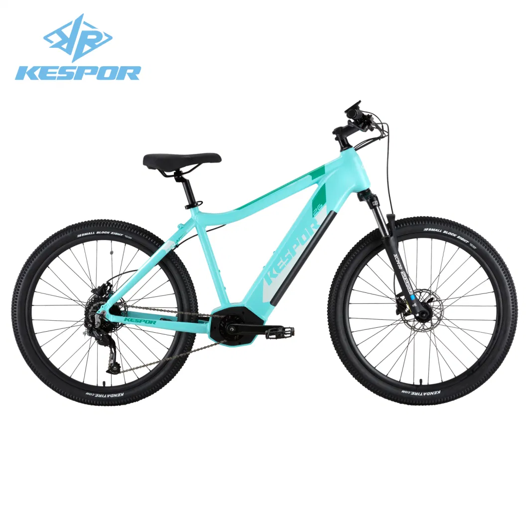 High Quality Fast Delivery 26 Inch 250W Electric Bike Bicycle with Shimano Gear