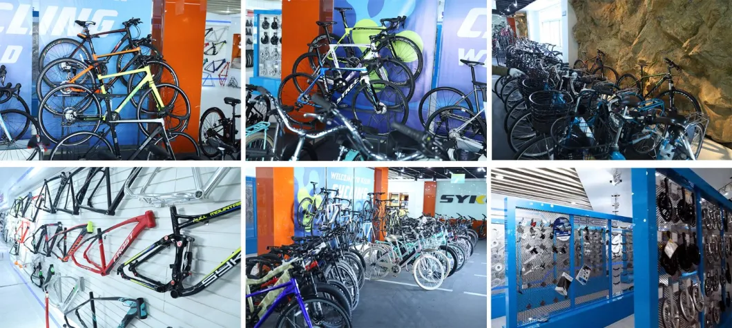 China Manufacturer New Model E Bike Aluminum Alloy Electric Road Bike