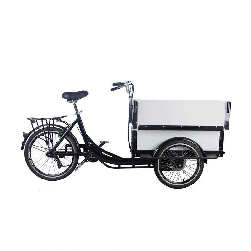 Electric Mobile Cargo Bike Trends Style White Color Motorized Tricycles for Adults Family Kids Children Scooter Customizable