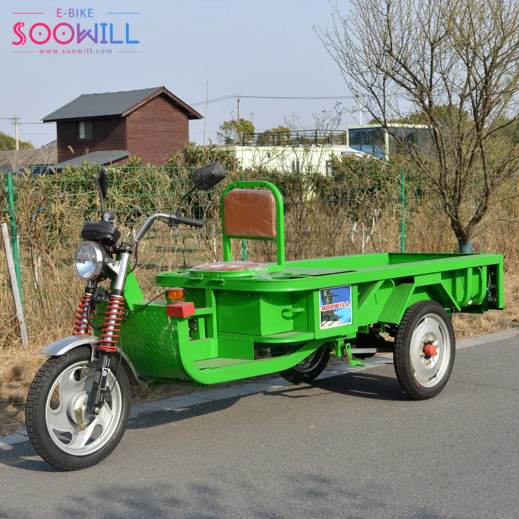 2000W Electric Scooter Conventional E-Bike with Ternary Lithium Battery Gecko Scooty