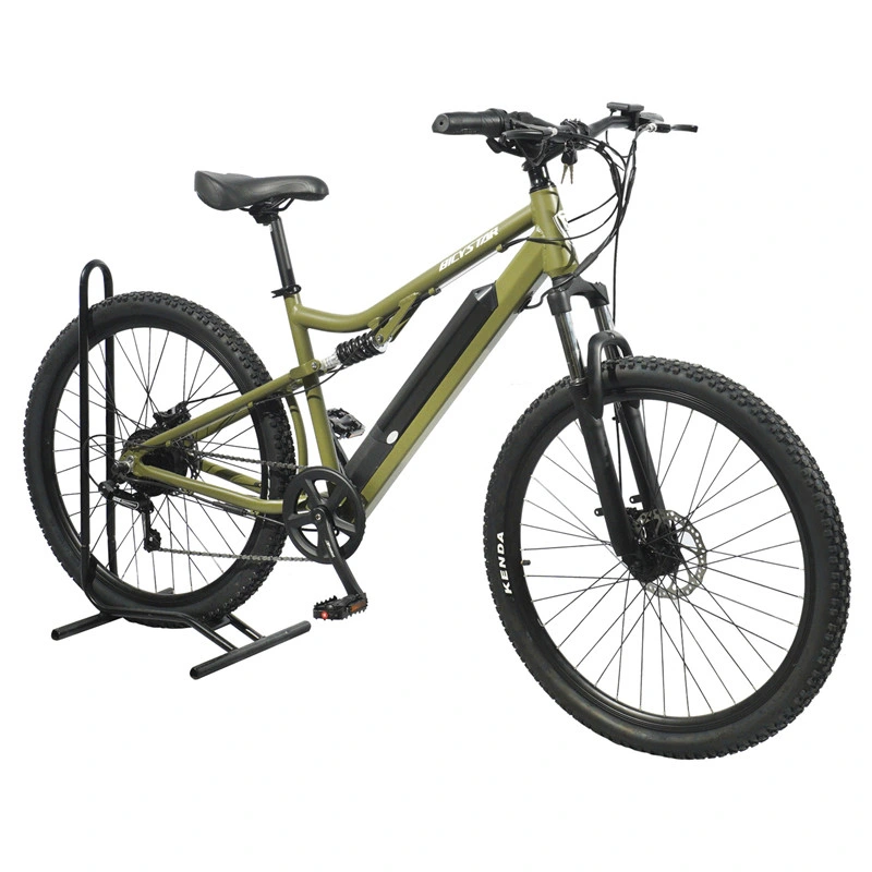 Cheapest Full Suspension 750W 60 Mph Electric Mountain Bike