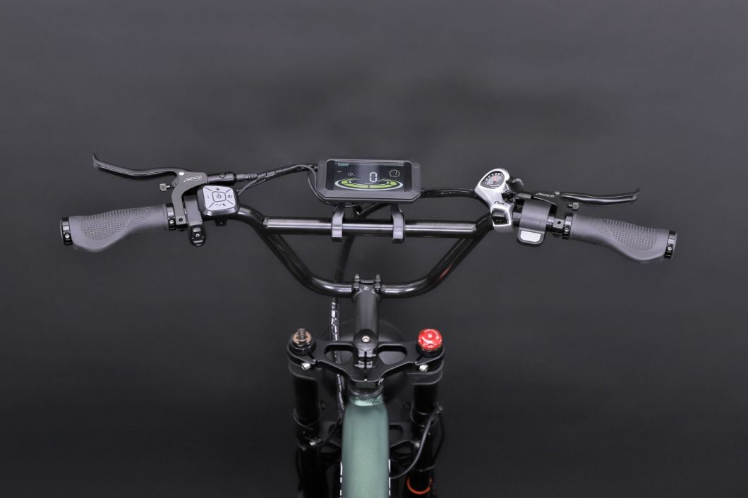 2023 New Electric Bicycle Hot Selling Chinese Electric Bike, Adults Electric Bike