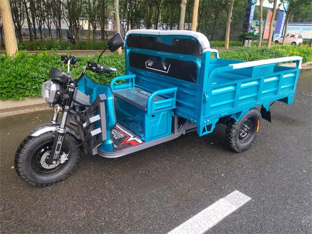 800W/1000W/1200W/1500W Electric Trike, Vehicle, Bicycle, Bike, Motorbike, Rickshaw, Three Wheel Motorcycle, Electric Cargo Tricycle with Different Size