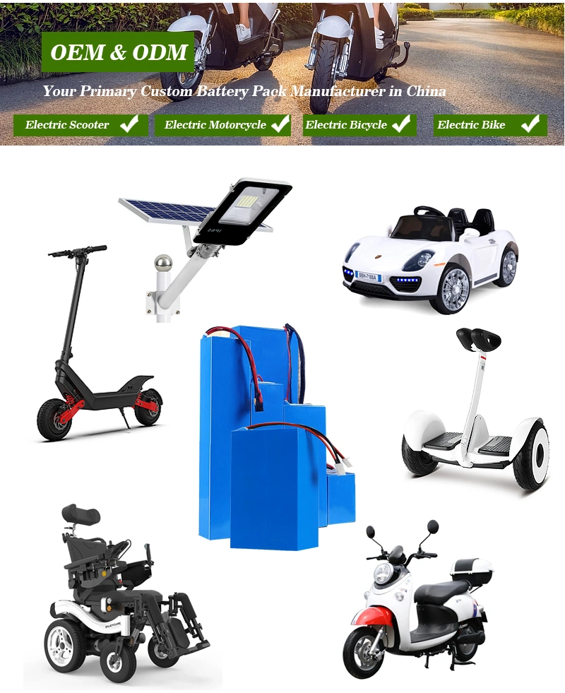 Cts Electric Bike Electric Scooter Power Lithium Ion Battery 60V 48V 20ah 35ah, LiFePO4 Battery