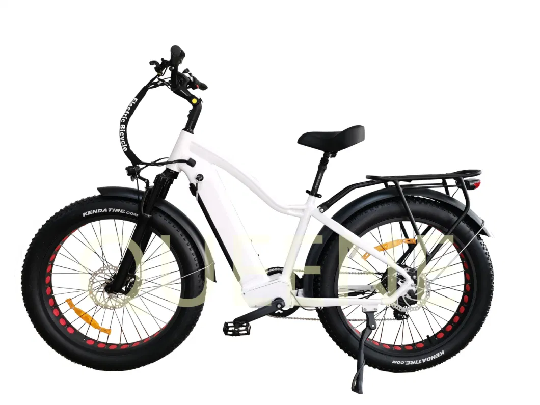 Queene Powerful Bicicleta 500W 750W 7 Speed Electric Bicycle Mountain Ebike Electric City Bike