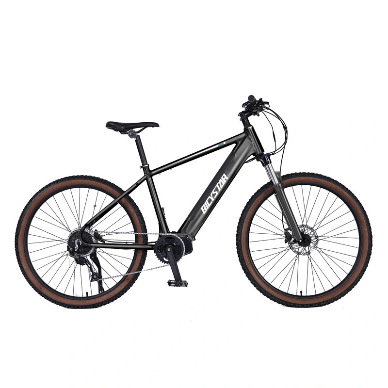 2023 New Electric Mountain Bicycle 26 Inch Electric Bike 29 Inch Ebike 29er Electric Mountain Bike