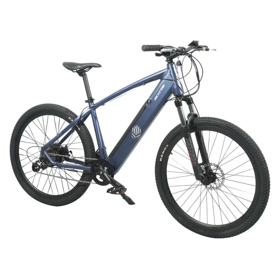 1000W Ebike Mountainbike 1000W Electric Bicycle Mountain Bike for Cheap