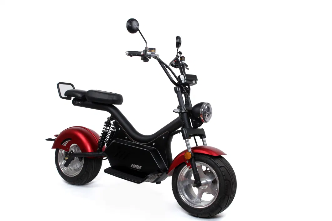 Manned E Bicycle Large Power Capacity Cheap Discount Well Service Safe Luqi Electric Scooters for Adult