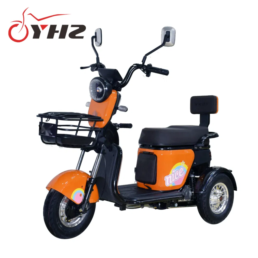 Mini Three-Wheel Electric Scooter Moped Dirt Bike 48V/60V 600W Motor