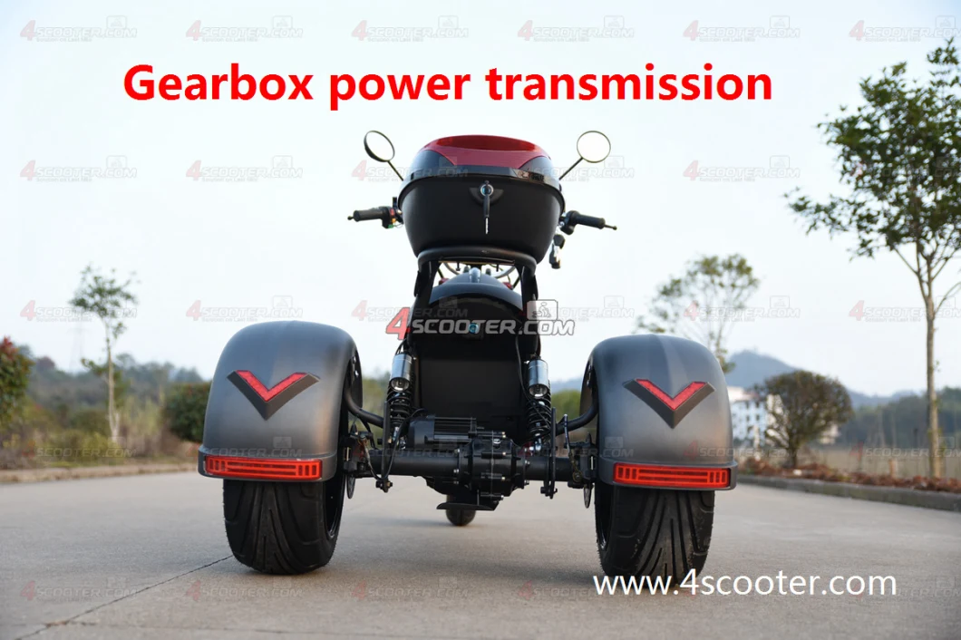 EEC 4000W 5000W Dual Match Citycoco Chopper Trike Scooter Three Wheel Electric Motorcycle