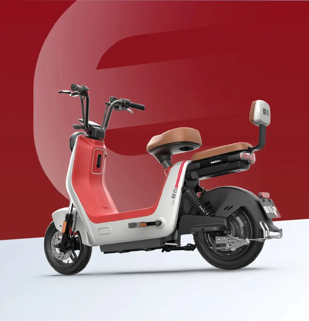 2023 New Arrival Electric Bike Aima Brand E Reach Model Hot Sell