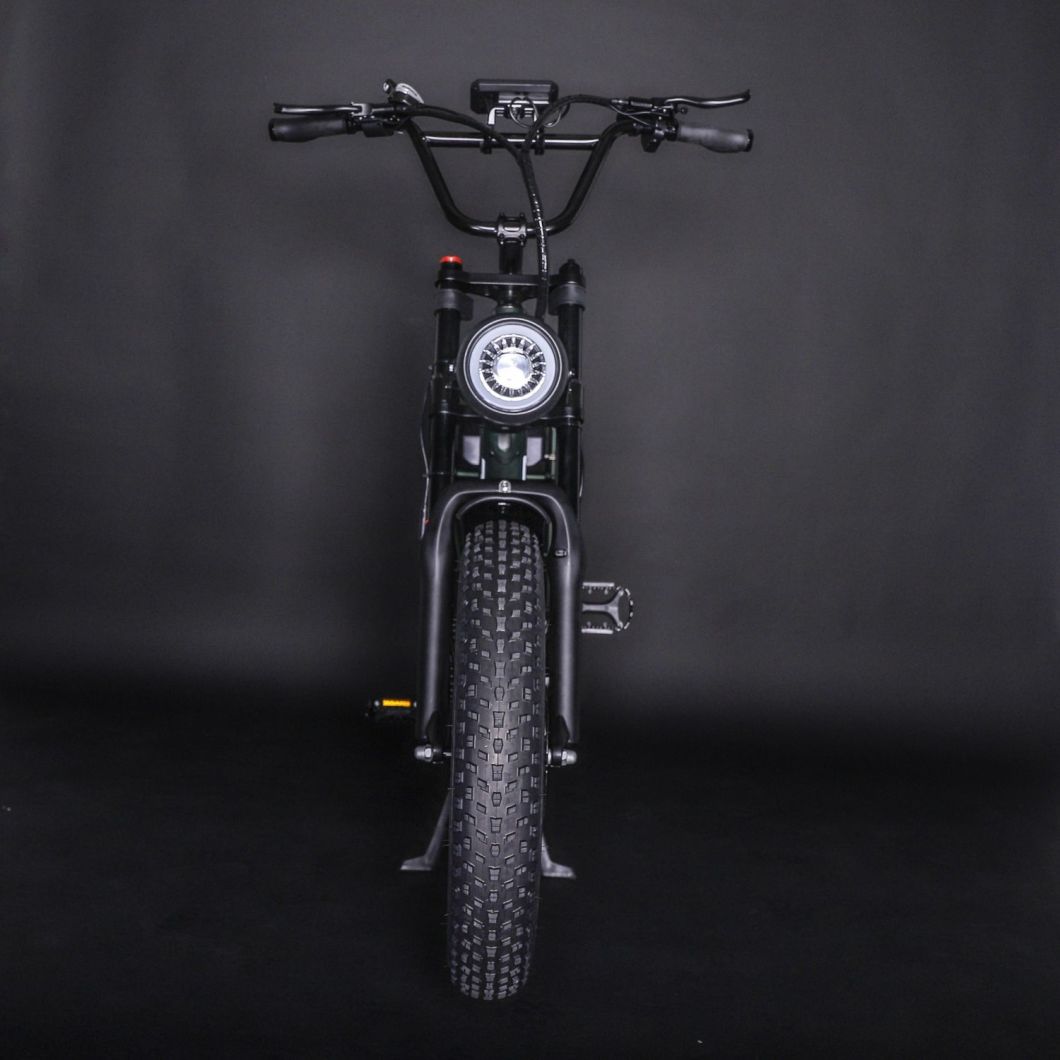 Electric Bicycle Alloy Frame Bicycle City Adult Commuting 20 Inch Electric Bike for Adult