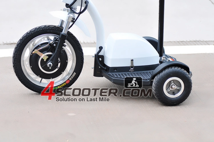 500W 800W 1000W Electric Tricycle 3 Wheeled Scooter
