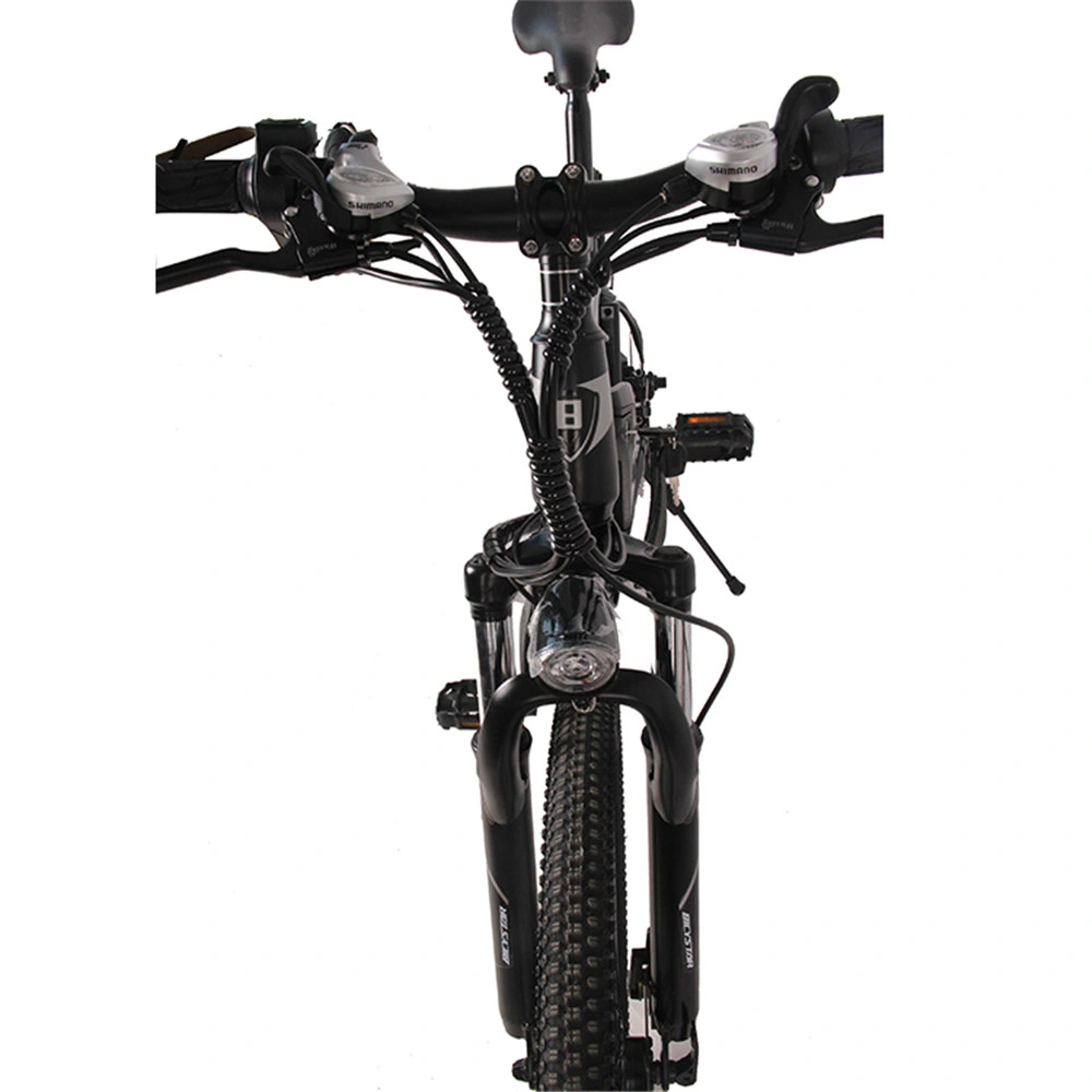 with Front and Rear Lights Electric Fat Bike Electric Mountain Bike Foldable E Bike Ebike