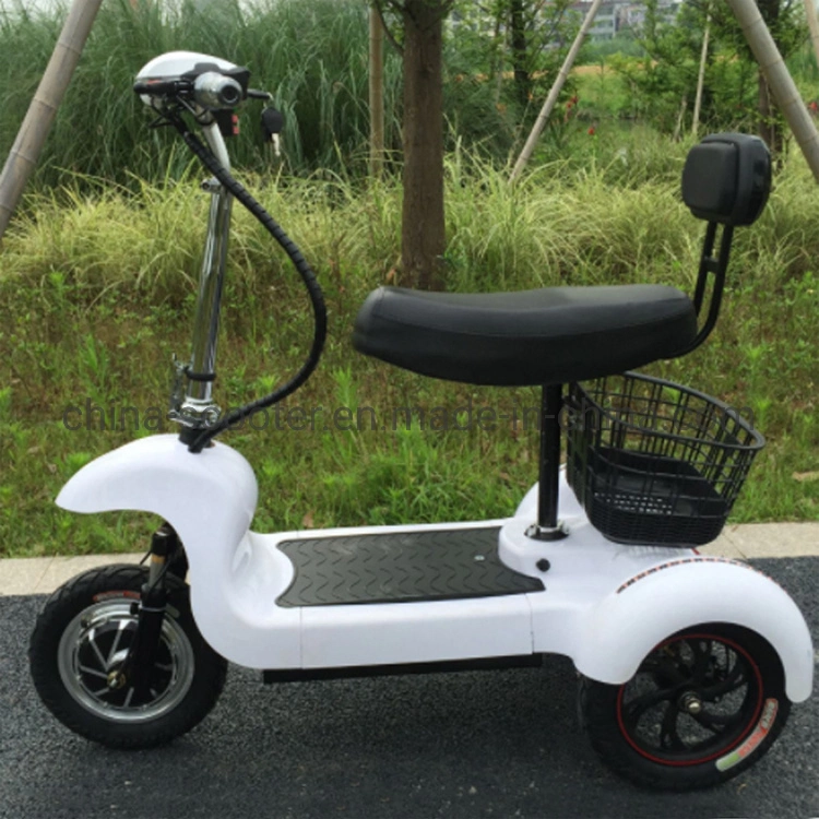 Mini Three Wheel Electric Scooter with 48V 12ah Lead-Acid Battery 500W Power