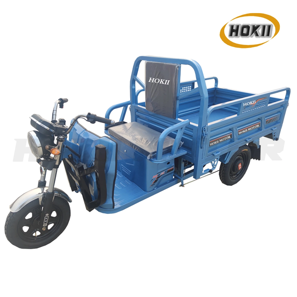 China Manufacturer Good Quality Cargo Transport 1000W Motor E-Bike Electric Tricycle Three Wheeler Motorcycle Triciclo Electrico Vehicle for Sale