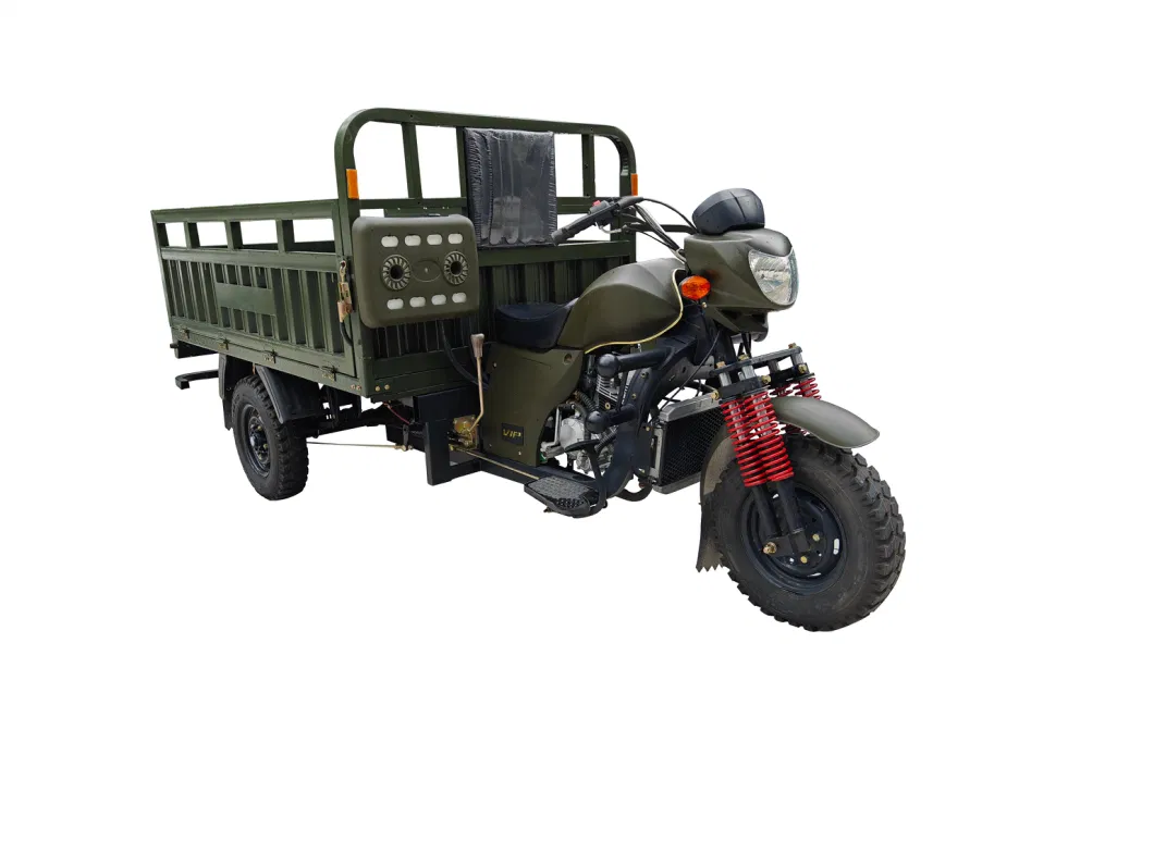 200cc /250ccsingle-Cylinder Water-Cooled Engine Cargo Tricycle/Three-Wheel Motorcycle