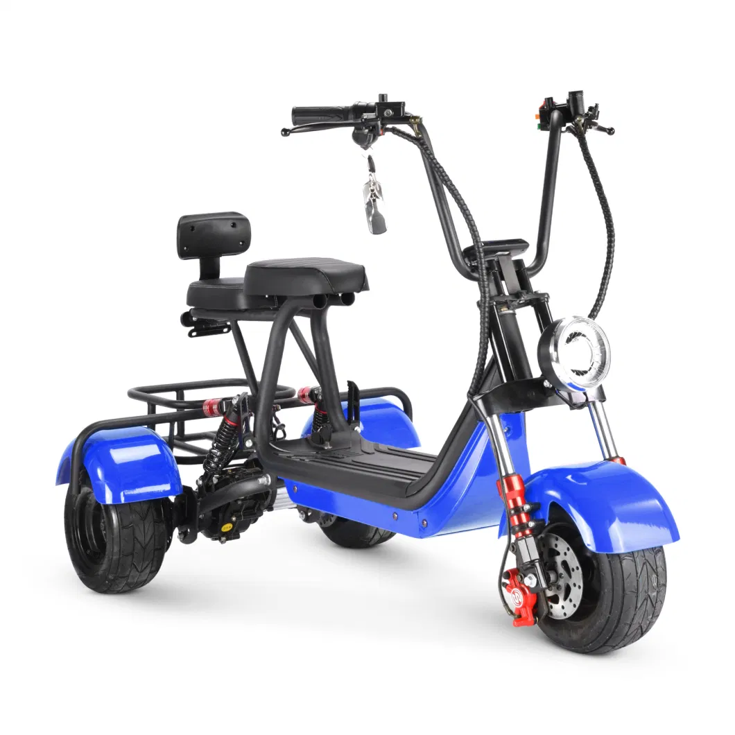 New Arrival Mini Electric Scooter Adults Citycoco 800W Bike