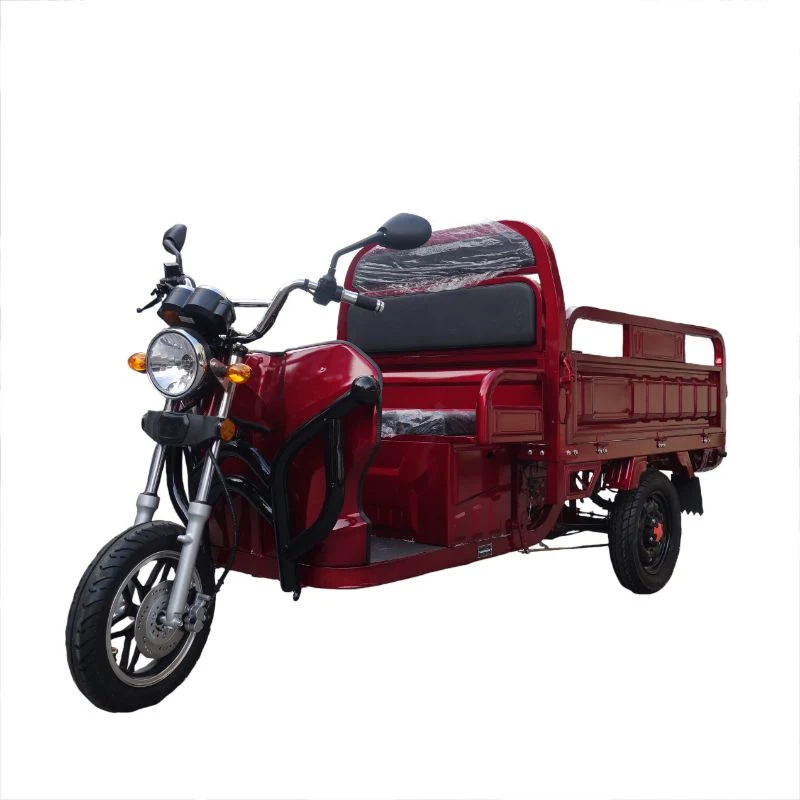 3 Wheel Light Electric Passenger Scooter Tricycle for Adult by Ec Certification