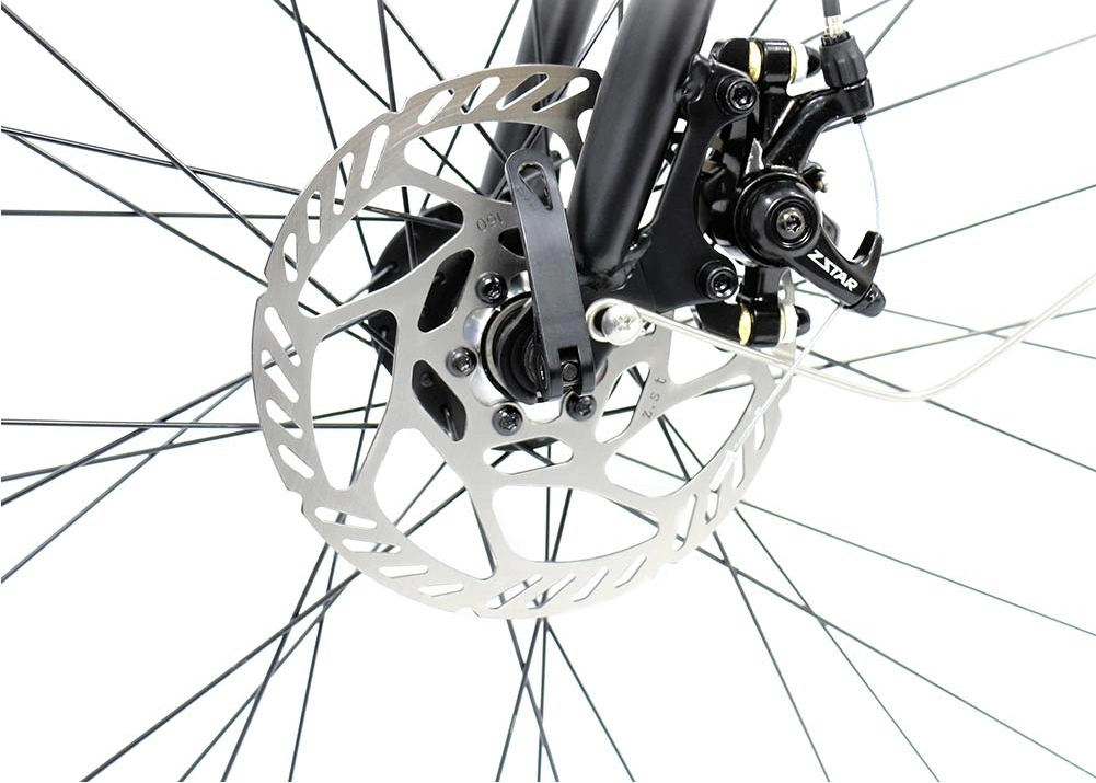 Lightest Mini Bike Foldable Folding Electric Bike Hidden Battery Powerful Aluminum Alloy Frame Electric Bicycle Ebike