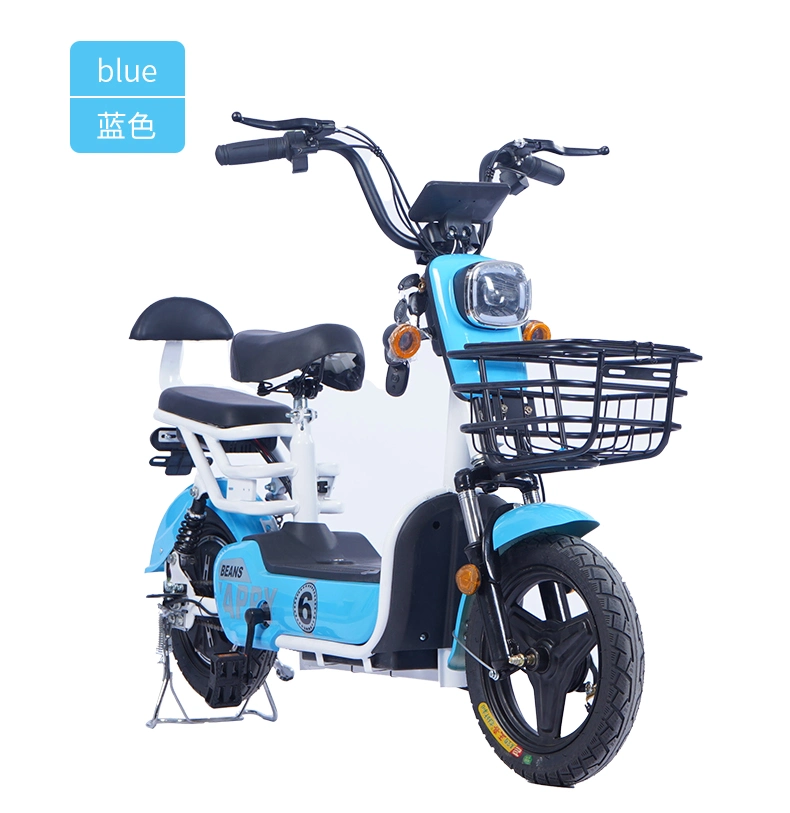 2 Wheel Powerful Electric Bike for Adults with Seat Pedal Scooter E-Bike