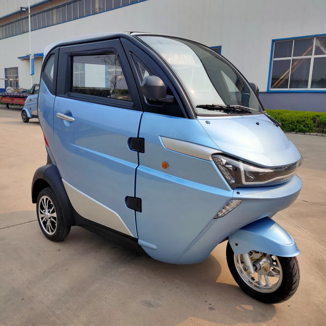 Enclosed 2 Seater Electric 3 Wheel Bicycle with Coc