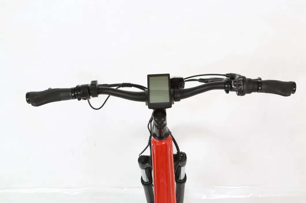 Am2605large Capacity Lithium Battery Fat Tire MTB Ebike in Stock for Adult Two Tire