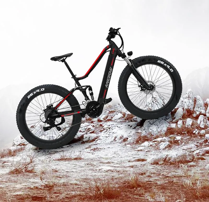 Snow Electric Bicycle Electric Bike 750W Motor Ebike Aluminium Alloy