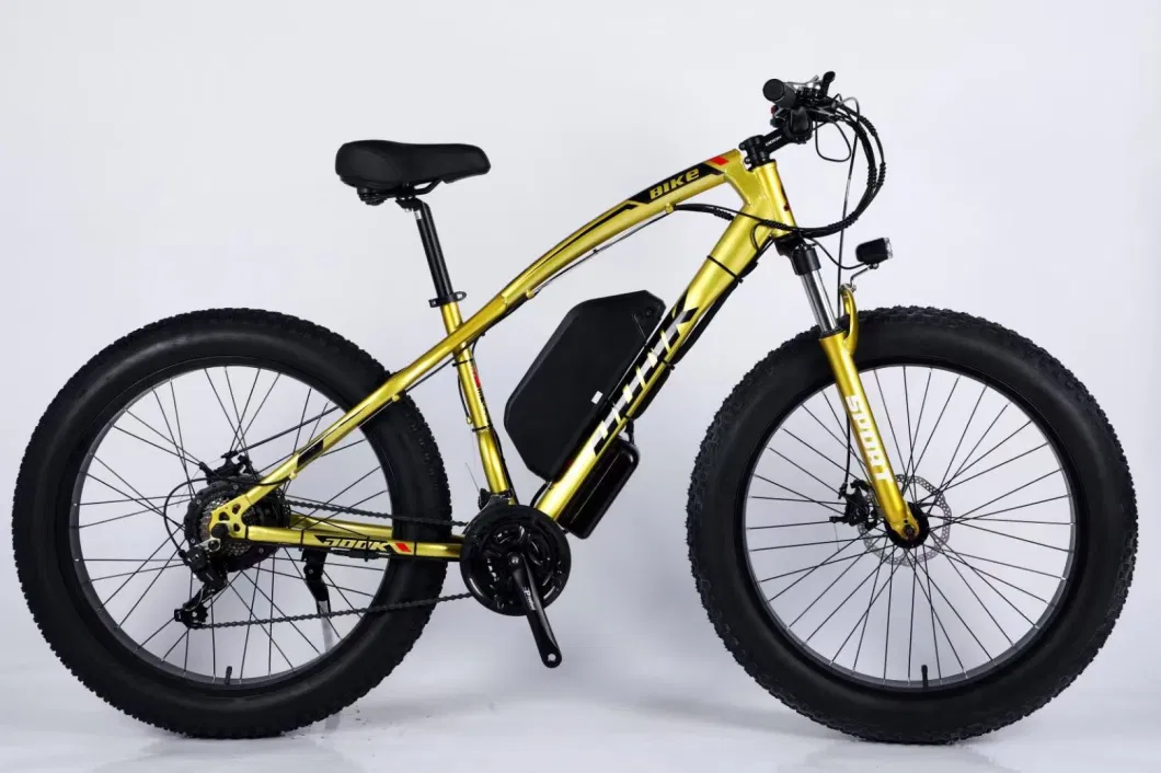 Hot Selling Mountain Bicycle Electric Mountain Bicycle E Cycle with 500/1000 Motor and Battery