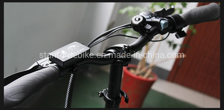 20 Inch Electric Bike CE Approved Electric Bicycle Power Assist Electric Bicycle Aluminum Alloy E Bike