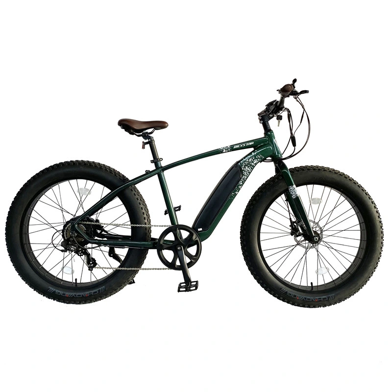 Electric Fat Bicycle Electric Fat Bicycle 26 Inch 1000W 1500W 20 Inch Folding
