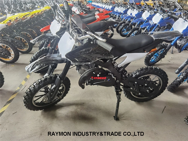 Raymon 2-Stroke Bike Cheap Dirt Bike 50cc Mini Motor Bike