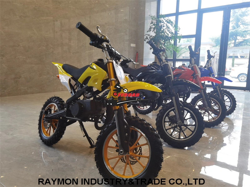 Raymon 2-Stroke Bike Cheap Dirt Bike 50cc Mini Motor Bike