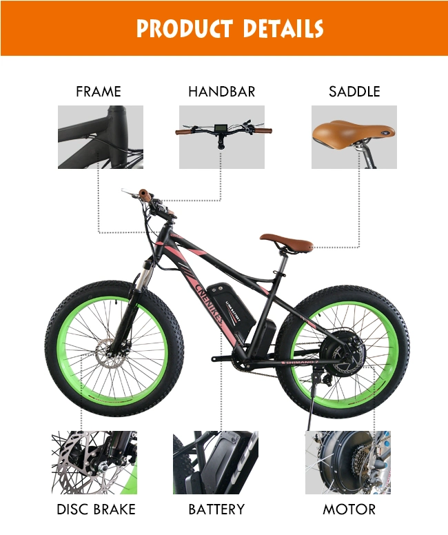 Cnebikes Ebike Beach Cruiser 1000W Electric Bicycle with Battery