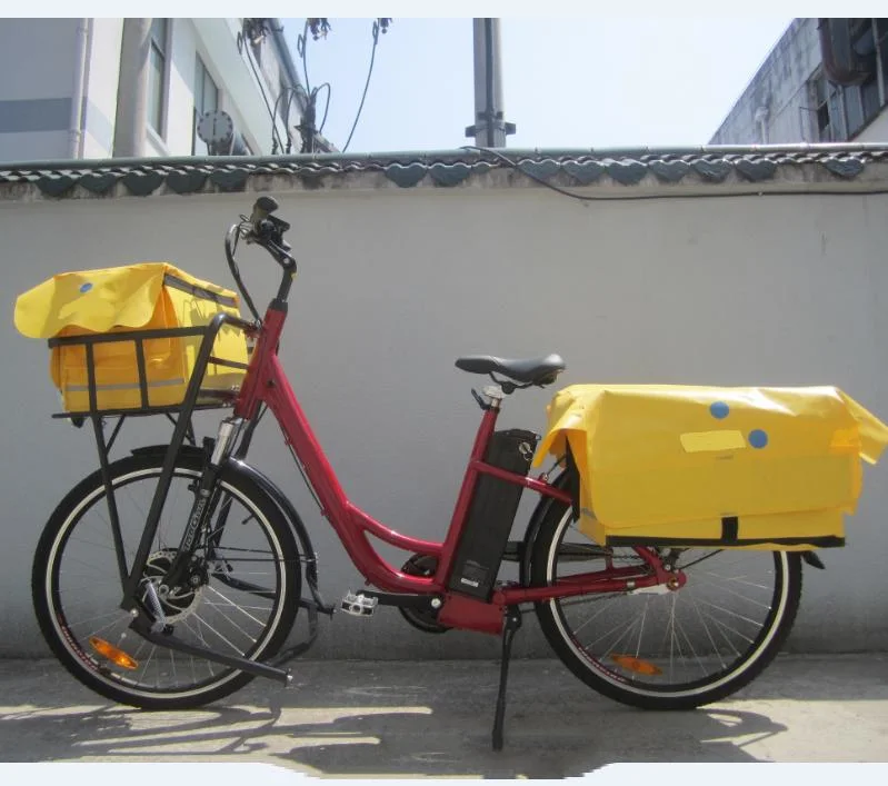 Post Delivery 250 500W Bafang Front Rear Motor Electric Cargo Bike Bicycle for Sale