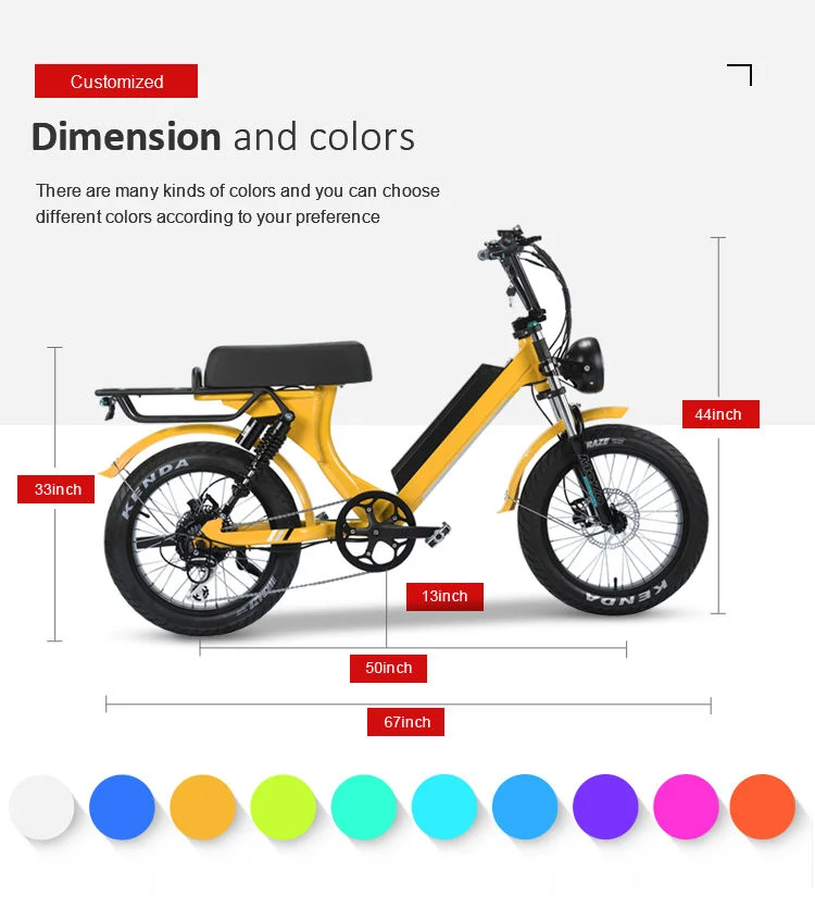 Europe Classic Bike 20 Inch Fat Tire 500W 750W 1000W Electric Bicycle Retro Vintage Long Saddle Fat E Bike