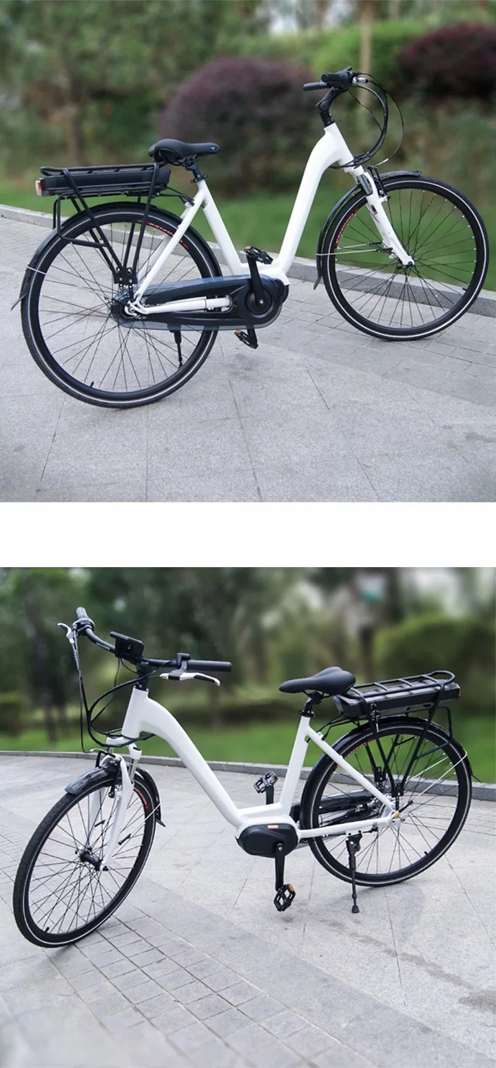 36V 250W MID Motor Womens Electric Bike, Electric Cycle