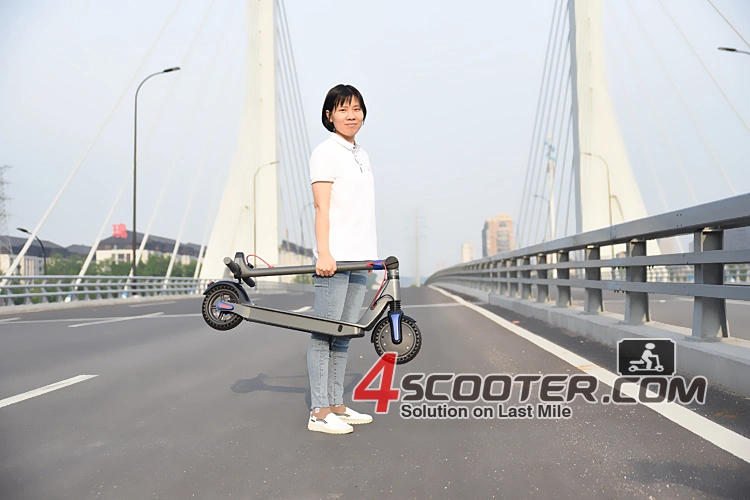 Top Speed Folding Mobility S01 Electric Mobility E Scooter Abe Folding Travel Electro Scooter