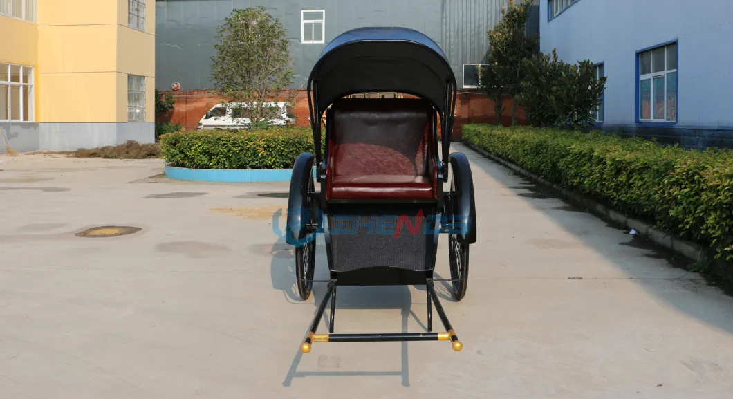 China Passenger Rickshaw/OEM New Model Taxi Pedicab Bicycle Tricycle Rickshaw Pedicab for Sale/Electric Cargo Bike