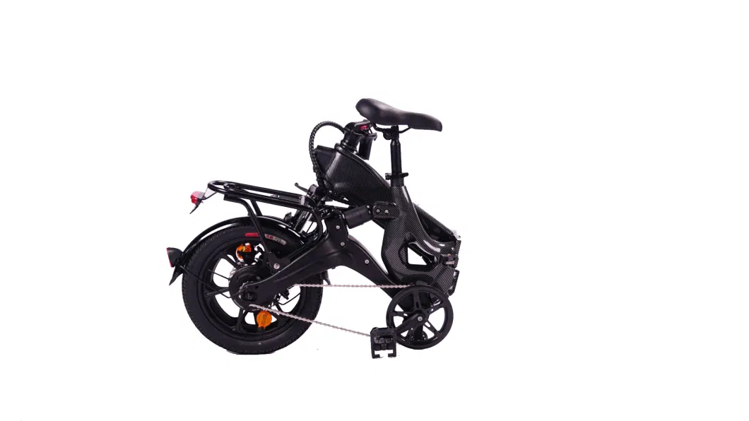 36V 350W 24 Inch Elithium Battery Electric Bike Sport Enduro Ebike Electric Folding Bike