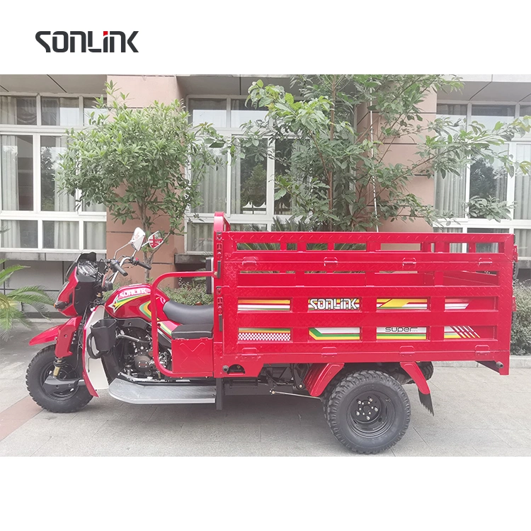 2023 Sonlink Factory Gasoline 250cc 5 Wheels Motorized Tricycle Adult Cargo Motorcycle Moto