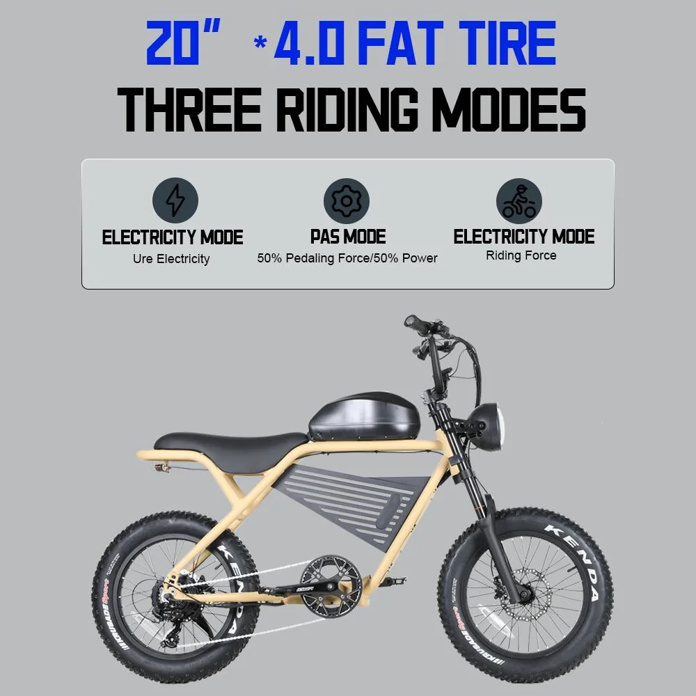 26inch 48V 750W Fat Tire Retro Vintage Electric Bike