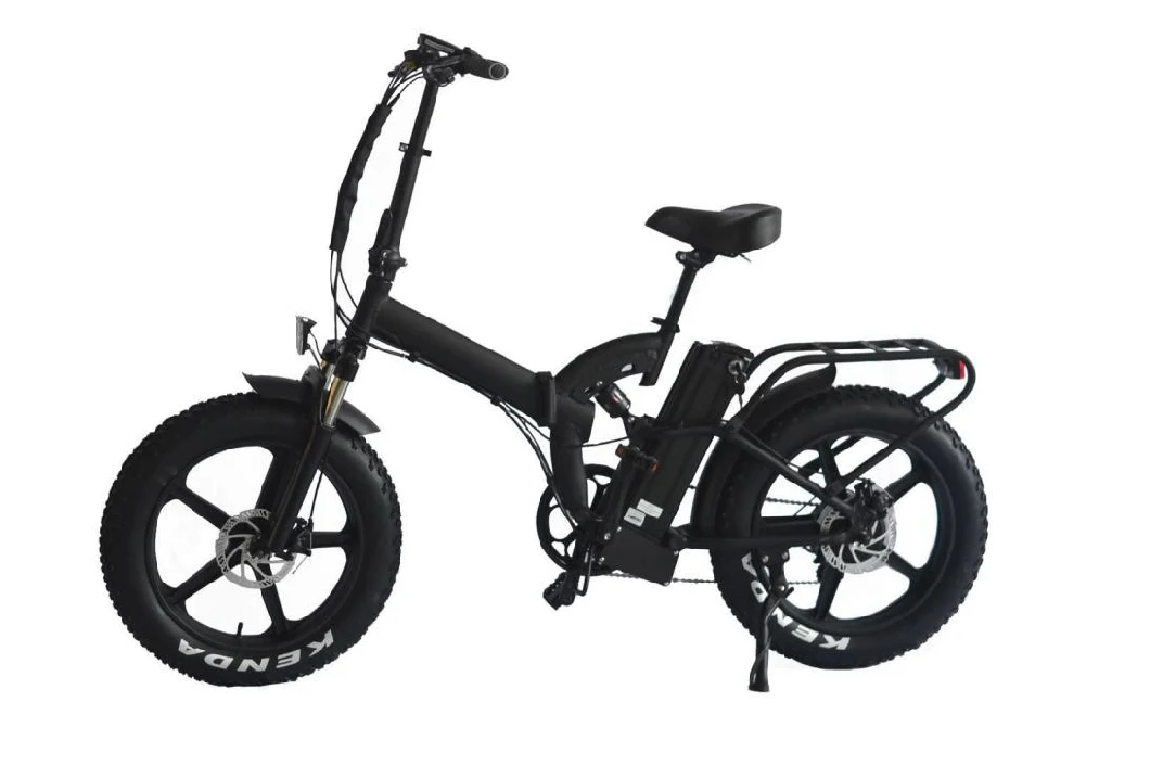 Full Suspension Electric Mountain Bike/750W Electric Bike/Mini Electric Bike