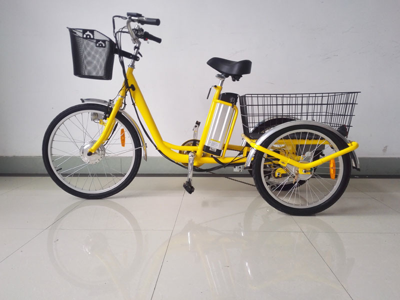 500W Three Wheel Electric Bicycle Trike