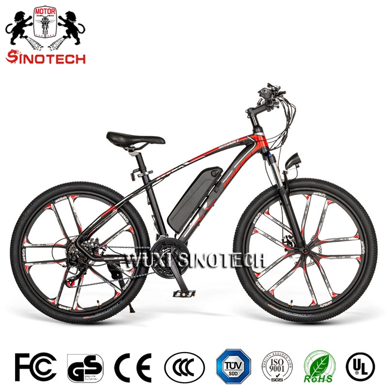 Fast Delivery Ebike Electric Bike 48V 350W Rear Motor Electric Bicycle Folding Ebike