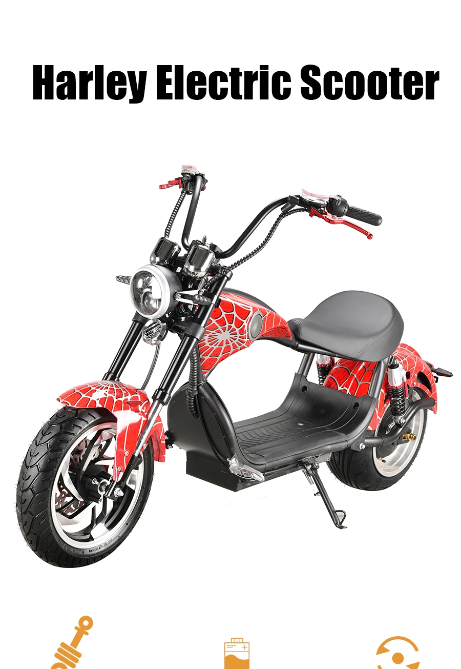 New Trend 1500W Powerful Fat Tire 2 Wheels Fast Electric Ebike Adult Electric Motorcycle Scooter 2000W Electric Citycoco