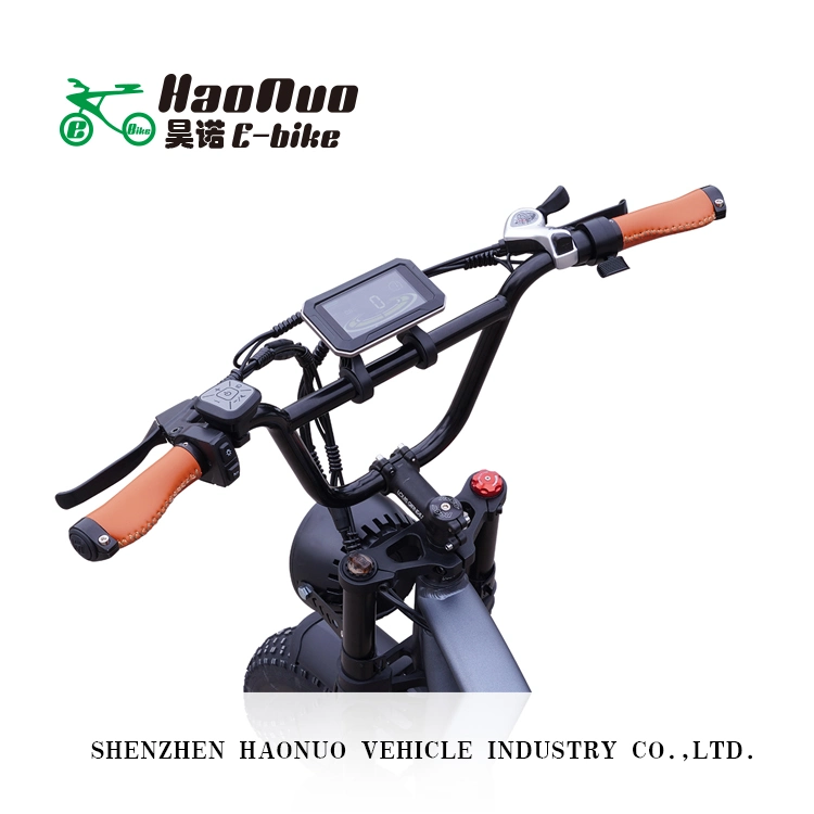 2023 New Model 26 Inch 48V 500watt Electric Bicycle