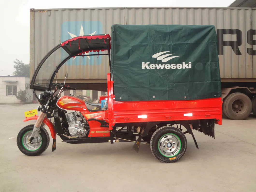 Three Wheeler Motorzied Cargo Electric Cargo Tricycle Auto Rickshaw Passenger Wheel Motorcycle